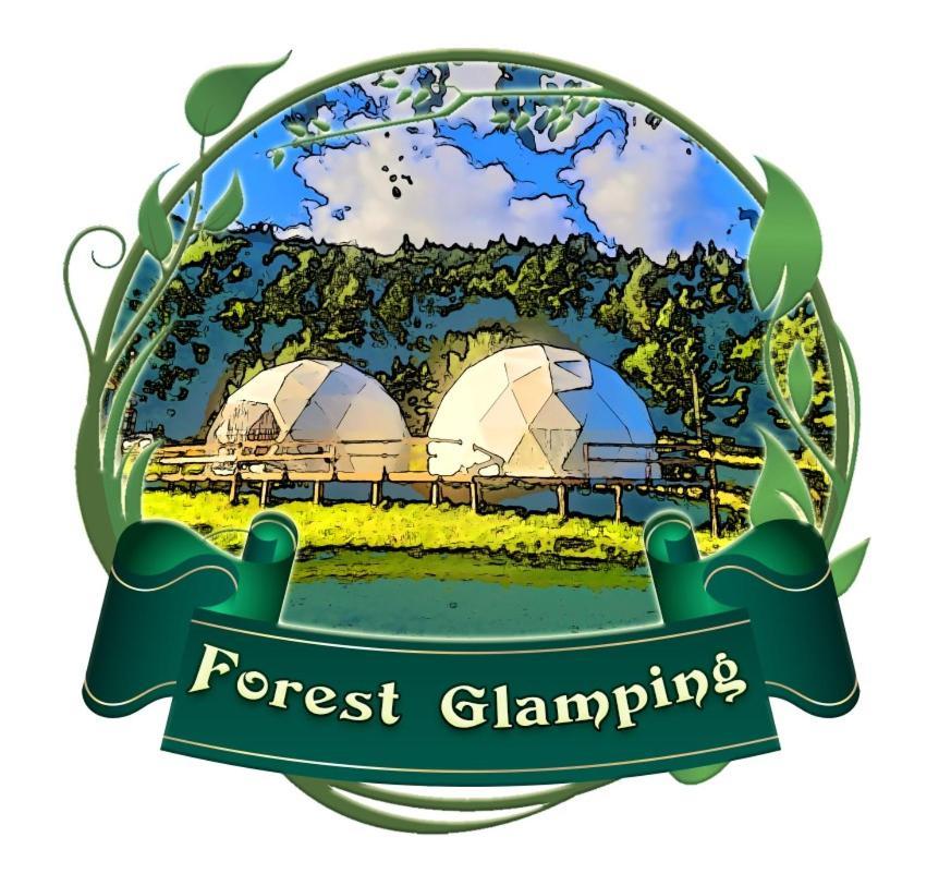 Forest Glamping Брашов Екстер'єр фото