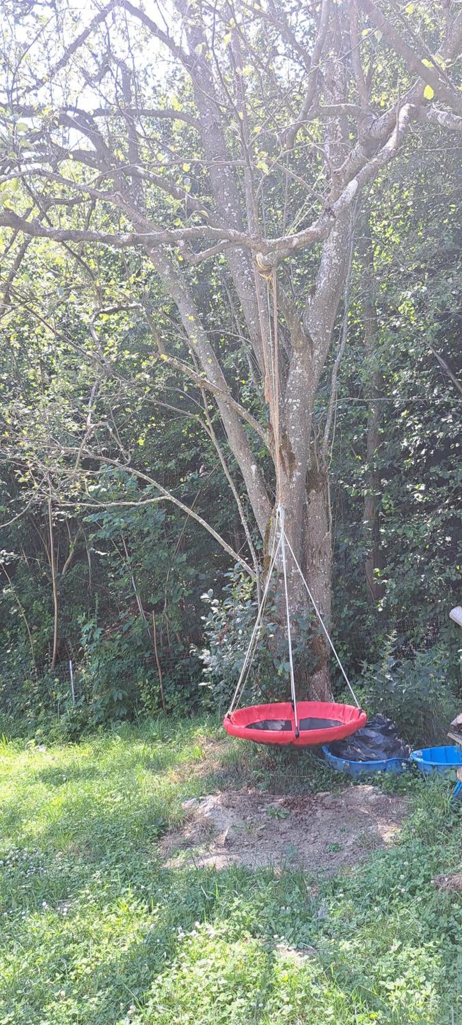 Forest Glamping Брашов Екстер'єр фото