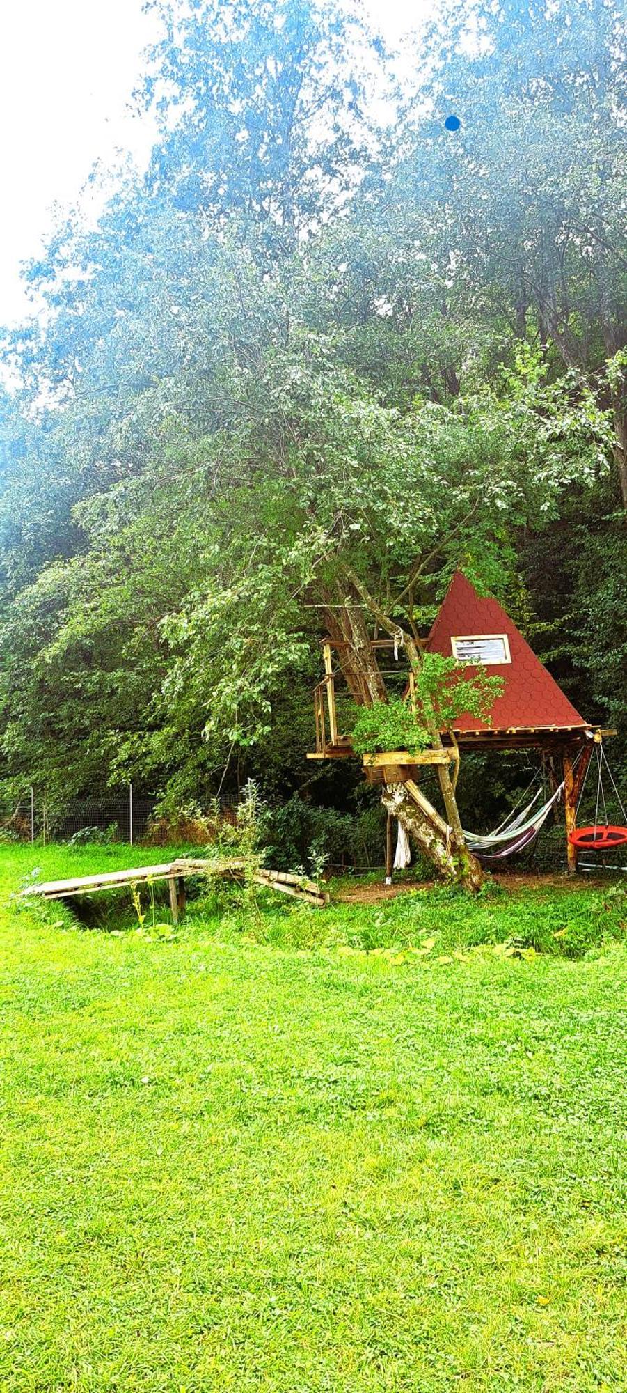 Forest Glamping Брашов Екстер'єр фото