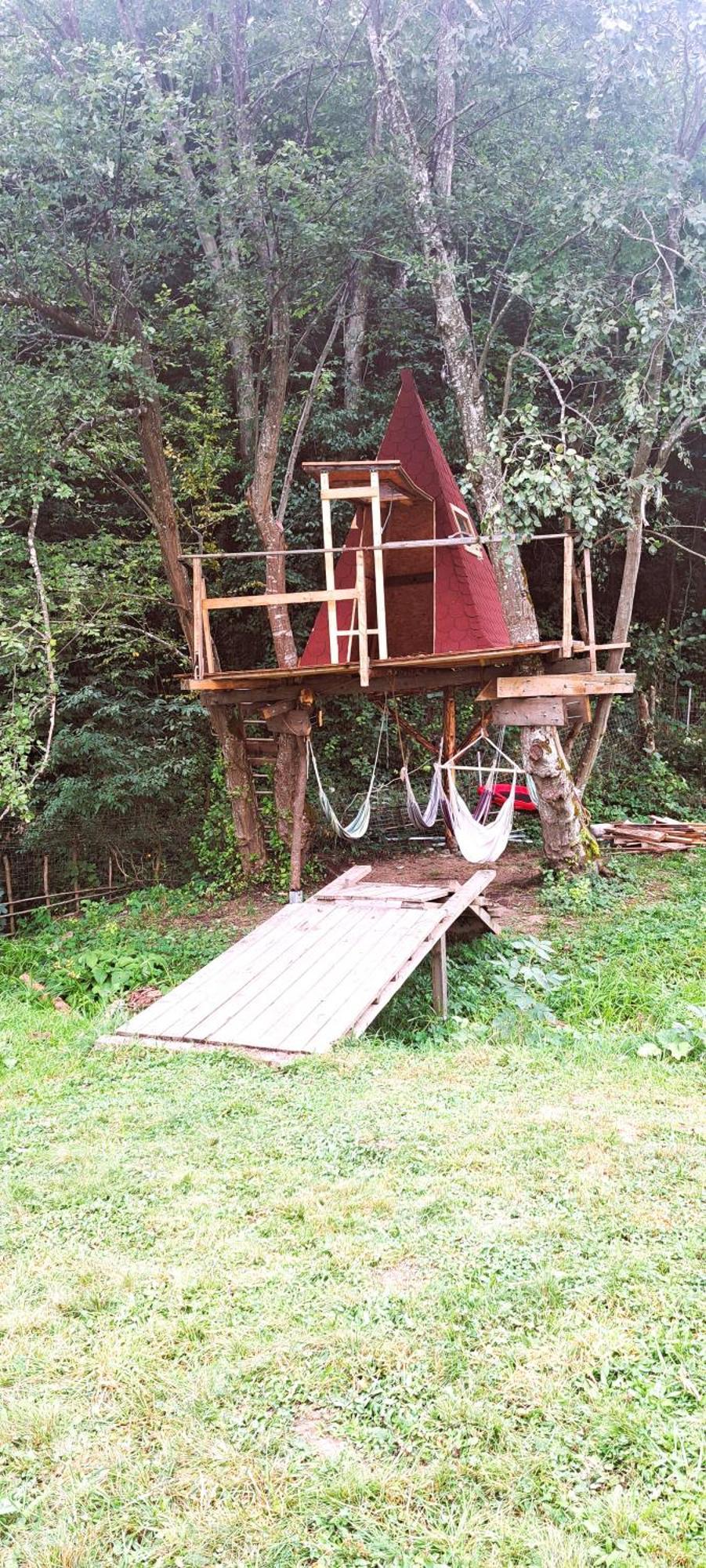 Forest Glamping Брашов Екстер'єр фото
